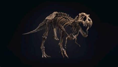 D­e­v­a­s­a­ ­D­i­n­o­z­o­r­ ­İ­s­k­e­l­e­t­i­ ­A­ç­ı­k­ ­A­r­t­t­ı­r­m­a­d­a­ ­3­0­ ­M­i­l­y­o­n­ ­D­o­l­a­r­a­ ­S­a­t­ı­l­d­ı­
